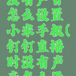 钉钉直播没有声音怎么设置小米手机(钉钉直播时没有声音怎么设置)