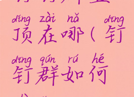 钉钉群置顶在哪(钉钉群如何置顶)