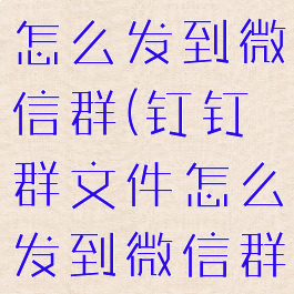 钉钉群文件怎么发到微信群(钉钉群文件怎么发到微信群里)