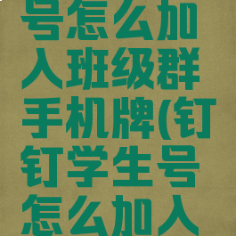 钉钉学生号怎么加入班级群手机牌(钉钉学生号怎么加入师生群)