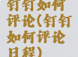 钉钉如何评论(钉钉如何评论日程)