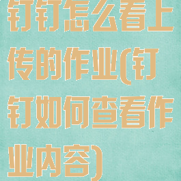 钉钉怎么看上传的作业(钉钉如何查看作业内容)
