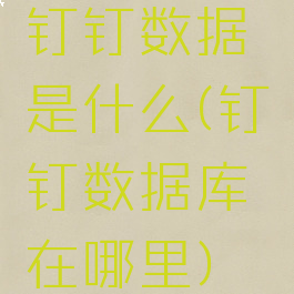 钉钉数据是什么(钉钉数据库在哪里)