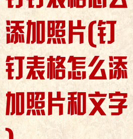 钉钉表格怎么添加照片(钉钉表格怎么添加照片和文字)