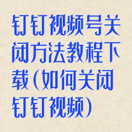 钉钉视频号关闭方法教程下载(如何关闭钉钉视频)