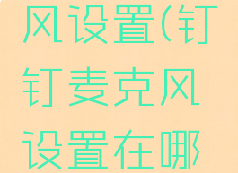 钉钉麦克风设置(钉钉麦克风设置在哪里电脑)