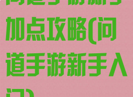 问道手游新手加点攻略(问道手游新手入门)
