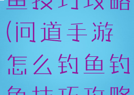 问道手游钓鱼技巧攻略(问道手游怎么钓鱼钓鱼技巧攻略)
