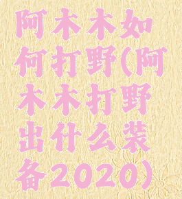 阿木木如何打野(阿木木打野出什么装备2020)