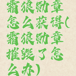 霜狼勋章怎么获得(霜狼勋章摧毁了怎么办)