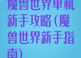 魔兽世界单机新手攻略(魔兽世界新手指南)