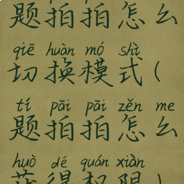 题拍拍怎么切换模式(题拍拍怎么获得权限)