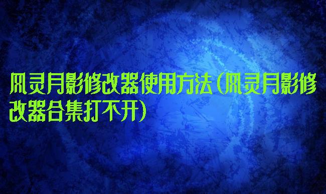 风灵月影修改器使用方法(风灵月影修改器合集打不开)