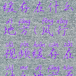 风行视频缓存在什么地方(风行视频缓存在什么地方看)