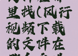 风行视频文件在哪里找(风行视频下载的文件在哪个文件夹)