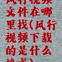 风行视频文件在哪里找(风行视频下载的是什么格式)