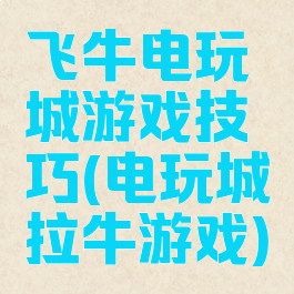 飞牛电玩城游戏技巧(电玩城拉牛游戏)