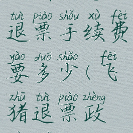 飞猪旅行退票手续费要多少(飞猪退票政策解读)