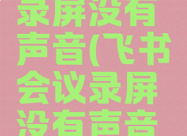 飞书会议录屏没有声音(飞书会议录屏没有声音怎么回事)