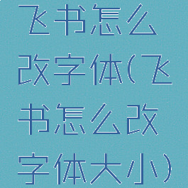 飞书怎么改字体(飞书怎么改字体大小)