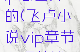 飞卢小说vip怎么算的(飞卢小说vip章节必须花钱吗)