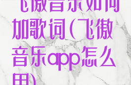 飞傲音乐如何加歌词(飞傲音乐app怎么用)