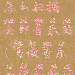 飞傲音乐怎么扫描全部音乐的(飞傲音乐如何加歌词)