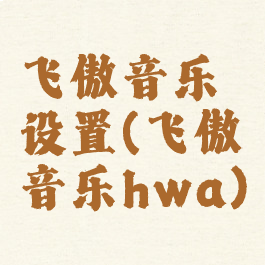 飞傲音乐设置(飞傲音乐hwa)