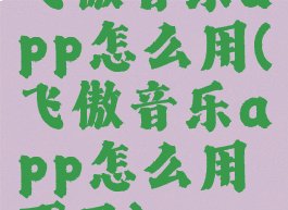 飞傲音乐app怎么用(飞傲音乐app怎么用不了)