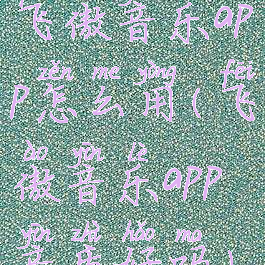 飞傲音乐app怎么用(飞傲音乐app音质好吗)