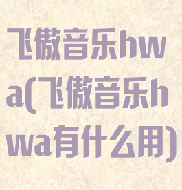 飞傲音乐hwa(飞傲音乐hwa有什么用)