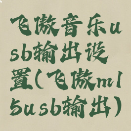 飞傲音乐usb输出设置(飞傲m15usb输出)