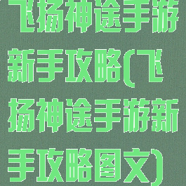 飞扬神途手游新手攻略(飞扬神途手游新手攻略图文)