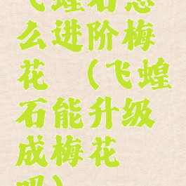 飞蝗石怎么进阶梅花镖(飞蝗石能升级成梅花镖吗)