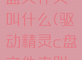 驱动精灵c盘文件夹叫什么(驱动精灵c盘文件夹叫什么名称)