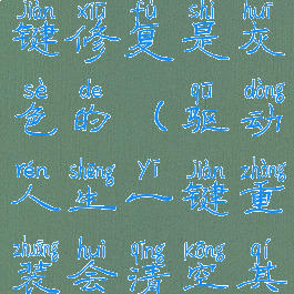 驱动人生一键修复是灰色的(驱动人生一键重装会清空其他盘吗)