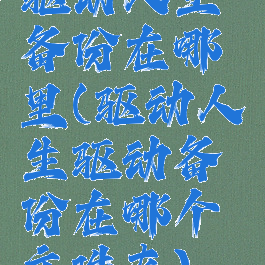 驱动人生备份在哪里(驱动人生驱动备份在哪个文件夹)