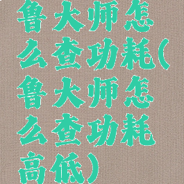 鲁大师怎么查功耗(鲁大师怎么查功耗高低)