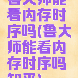 鲁大师能看内存时序吗(鲁大师能看内存时序吗知乎)