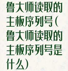 鲁大师读取的主板序列号(鲁大师读取的主板序列号是什么)