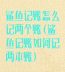 鲨鱼记账怎么记两个账(鲨鱼记账如何记两本账)