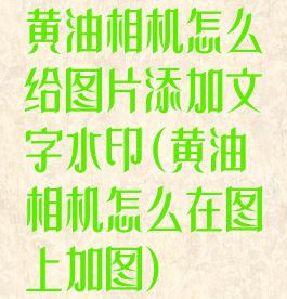 黄油相机怎么给图片添加文字水印(黄油相机怎么在图上加图)