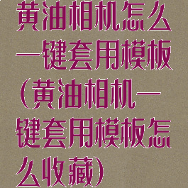 黄油相机怎么一键套用模板(黄油相机一键套用模板怎么收藏)