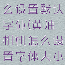 黄油相机怎么设置默认字体(黄油相机怎么设置字体大小)