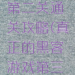 黑客游戏第二关通关攻略(真正的黑客游戏第三关)