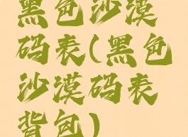 黑色沙漠码表(黑色沙漠码表背包)