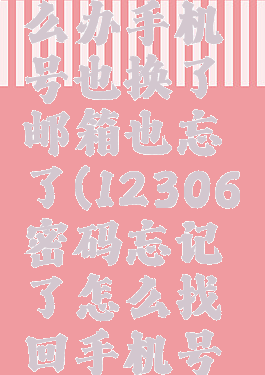 12306忘记密码怎么办手机号也换了邮箱也忘了(12306密码忘记了怎么找回手机号也换了邮箱也忘了)