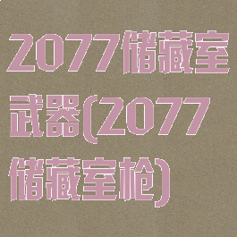 2077储藏室武器(2077储藏室枪)