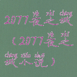 2077夜之城(2077夜之城小说)