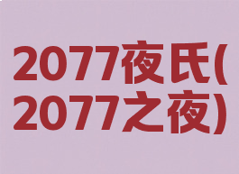 2077夜氏(2077之夜)